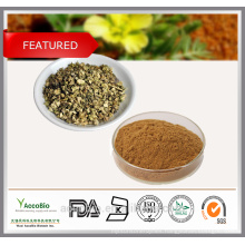 Wholesale Factory Supply 100% Natural Tribulus Terrestris Extract Powder Saponins 90% Protodioscin 40%